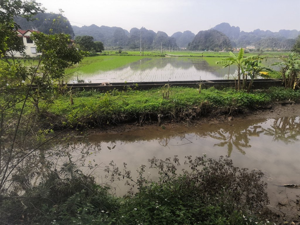 Beautiful Tam Coc 13 img 20230225 110932 14232454114527692809 7734175 5971401.