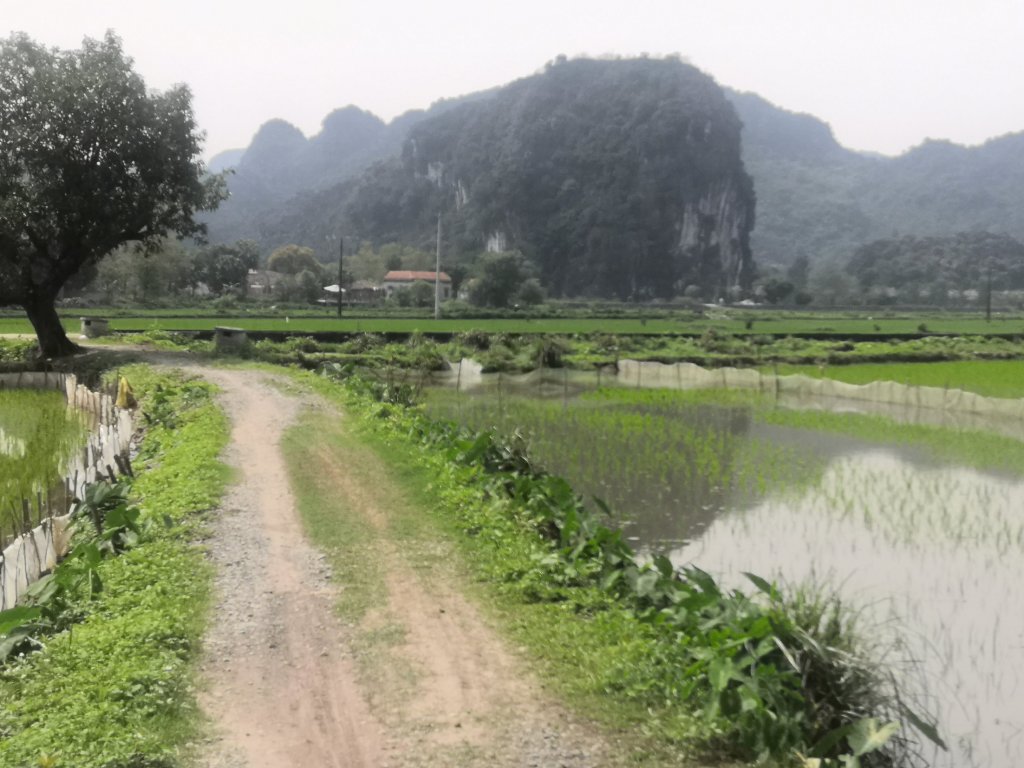 Beautiful Tam Coc 15 img 20230225 111301 11061240395039155354 3881702 4542318.