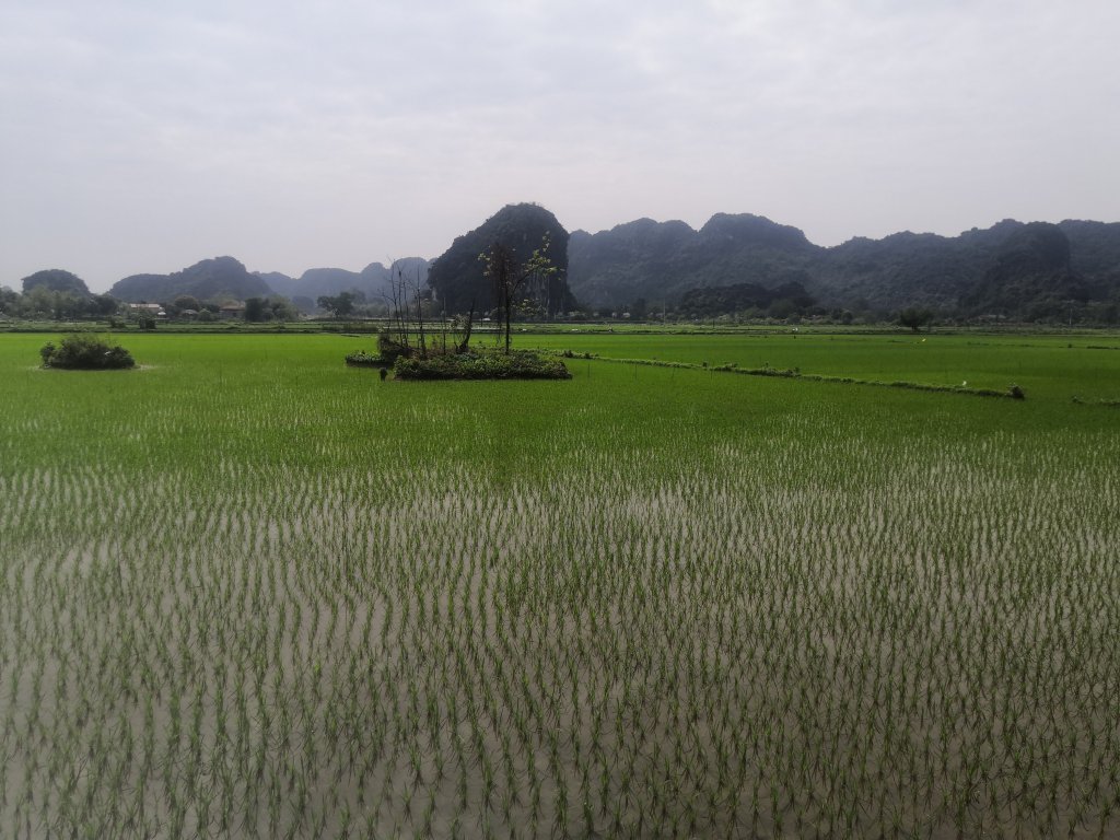 Beautiful Tam Coc 16 img 20230225 111704 17615890804903262427 2100408 5825386.