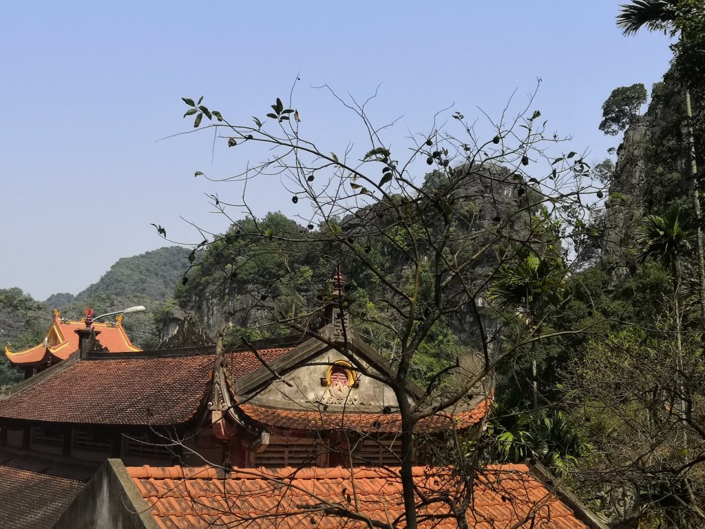 Beautiful Tam Coc 39 img 20230225 1230232976191216802978175 8267612 2313027.