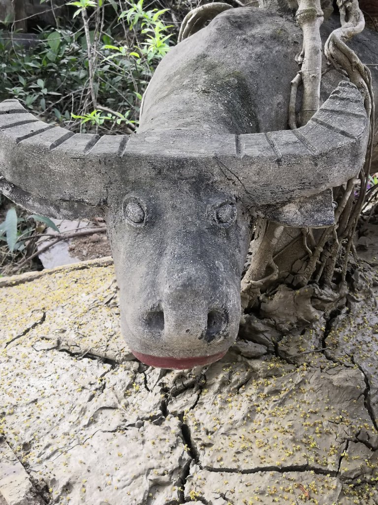Beautiful Tam Coc 61 img 20230225 1604096973544295441658462 6008652 9556926.