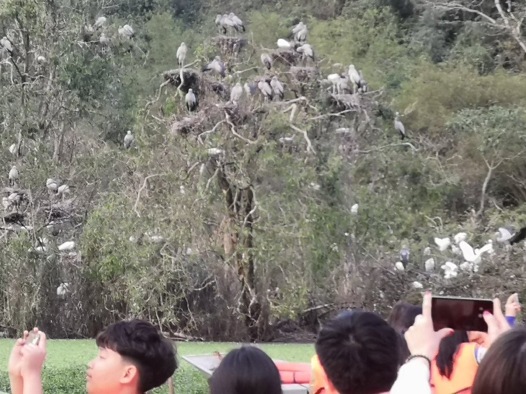Beautiful Tam Coc 78 img 20230225 172255377539154419525764 1471038 4152182.
