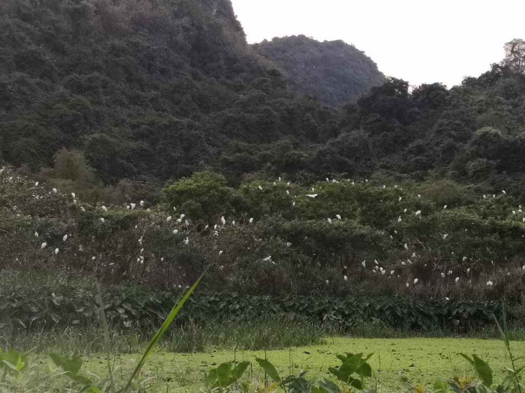 Beautiful Tam Coc 79 img 20230225 1724149042673888678542198 9567781 3207858.