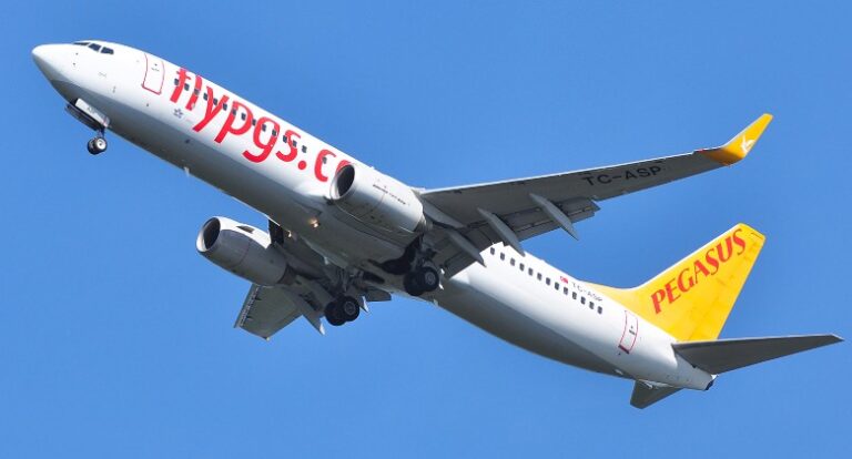 pegasus